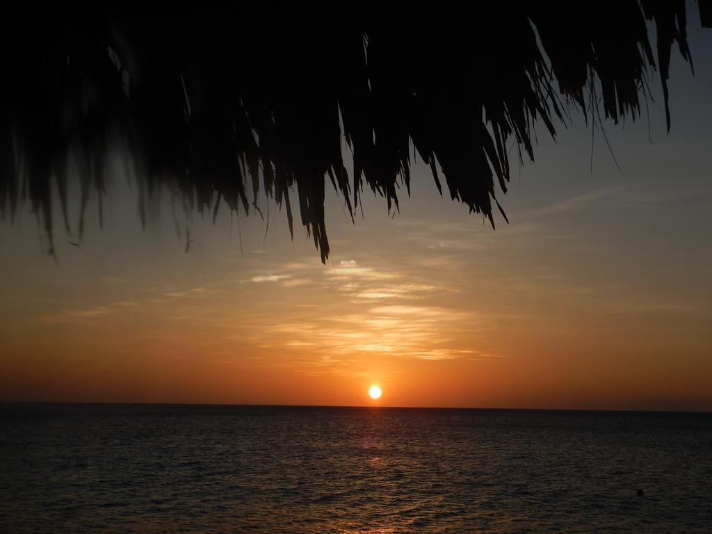 Apartment 1 And 5 In Windsock Beach Resort Bonaire Extérieur photo