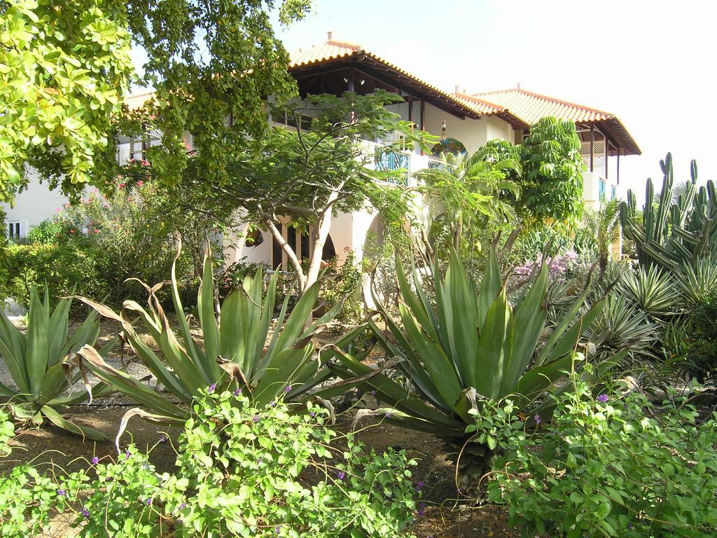 Apartment 1 And 5 In Windsock Beach Resort Bonaire Extérieur photo