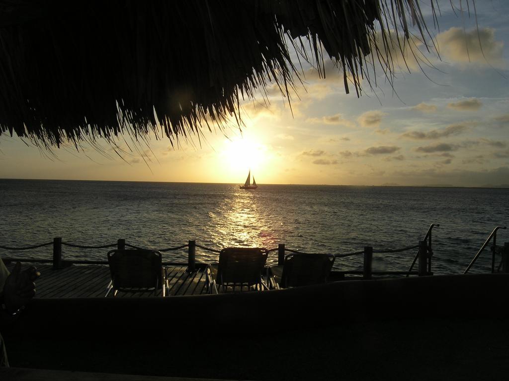 Apartment 1 And 5 In Windsock Beach Resort Bonaire Extérieur photo