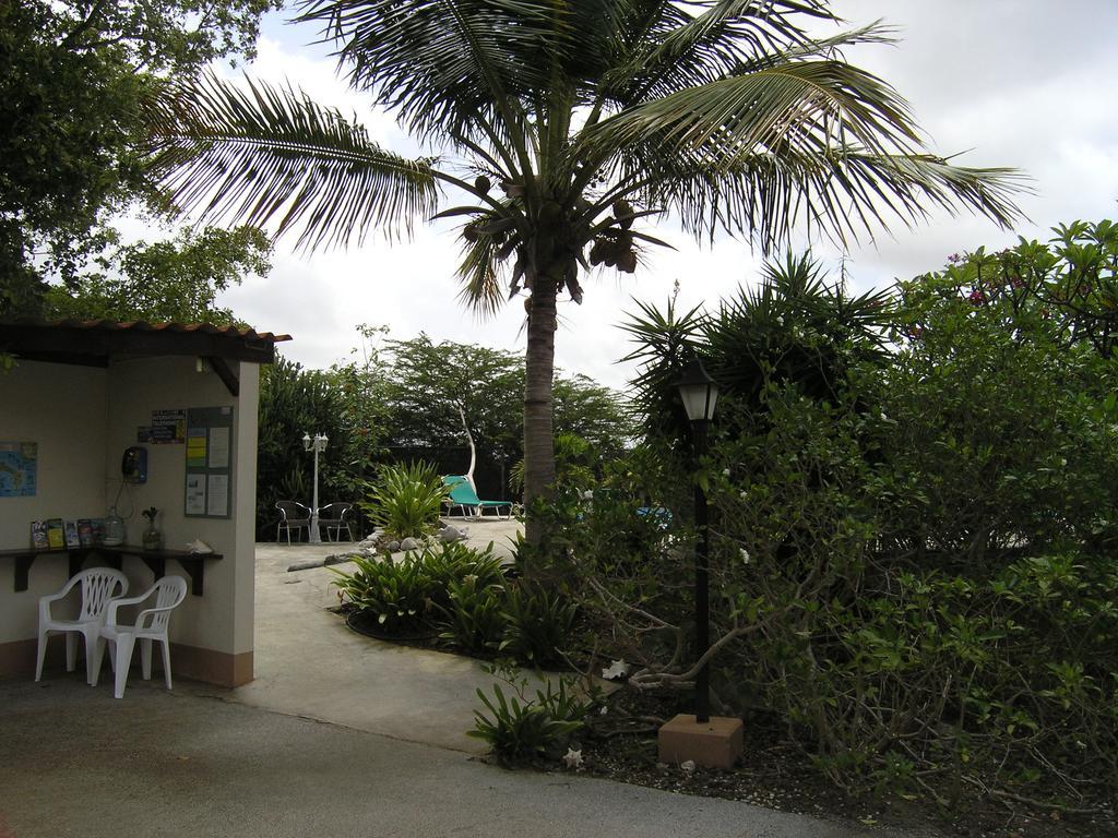 Apartment 1 And 5 In Windsock Beach Resort Bonaire Extérieur photo