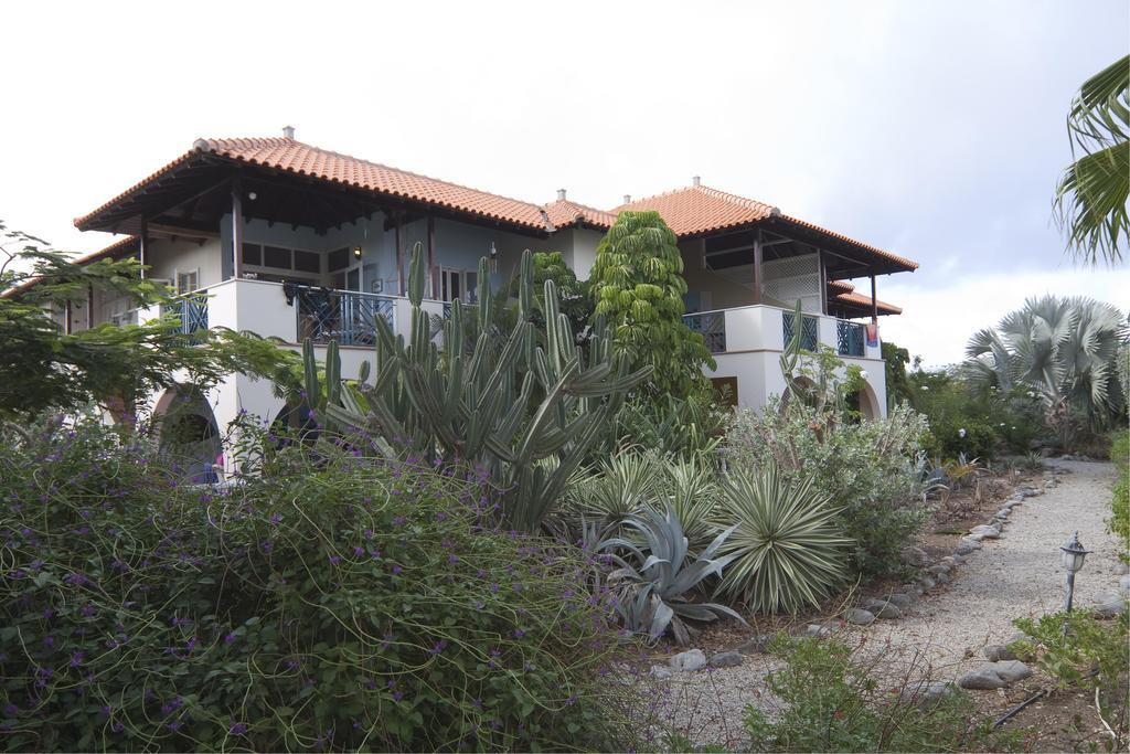 Apartment 1 And 5 In Windsock Beach Resort Bonaire Extérieur photo