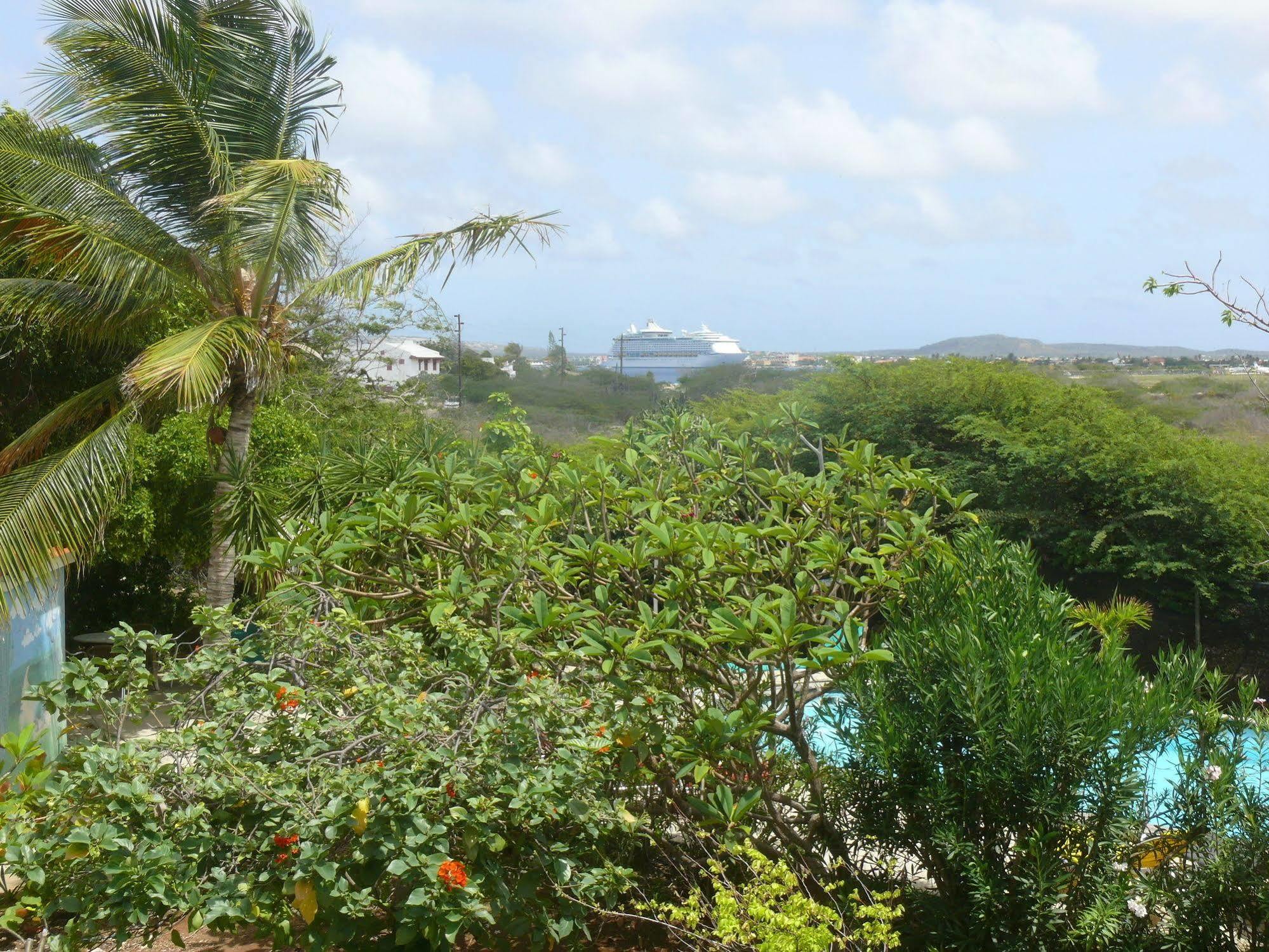 Apartment 1 And 5 In Windsock Beach Resort Bonaire Extérieur photo