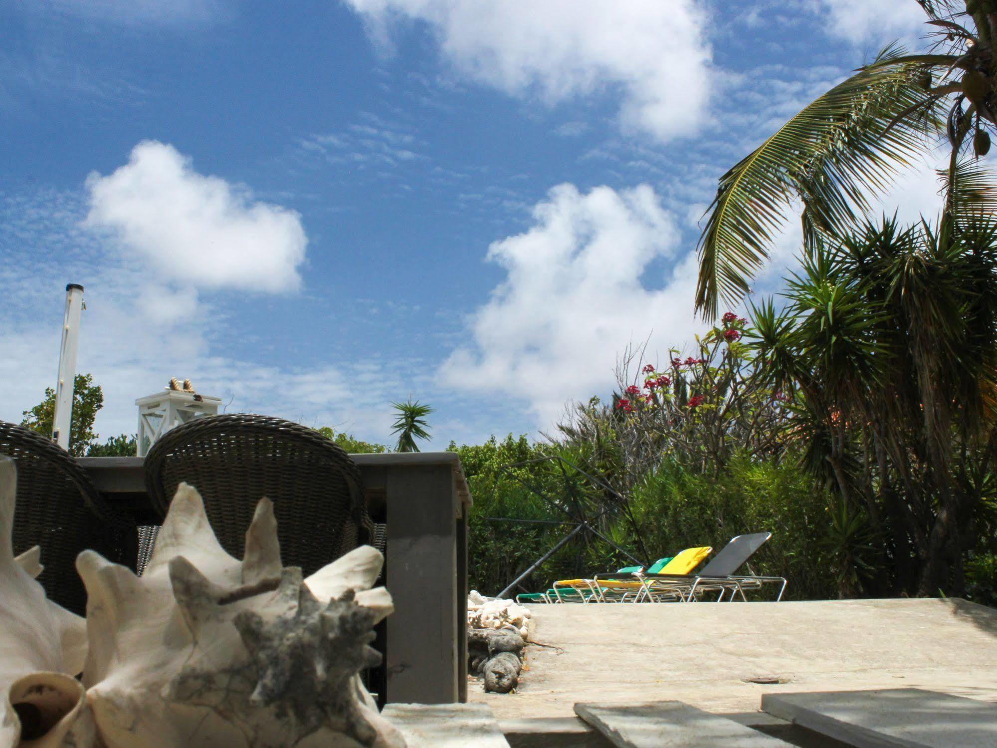 Apartment 1 And 5 In Windsock Beach Resort Bonaire Extérieur photo